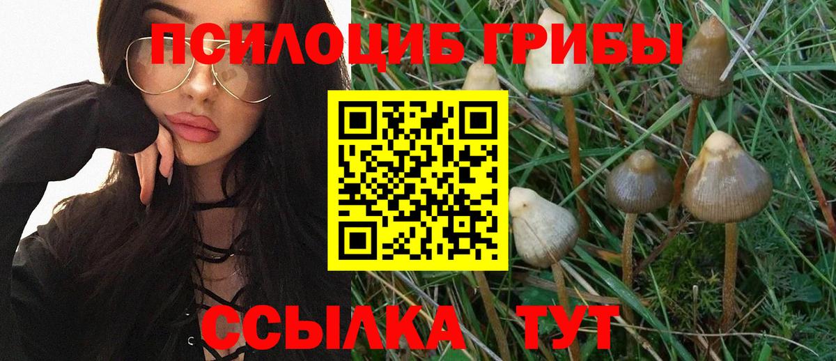 Псилоцибиновые грибы MAGIC MUSHROOMS Кунгур