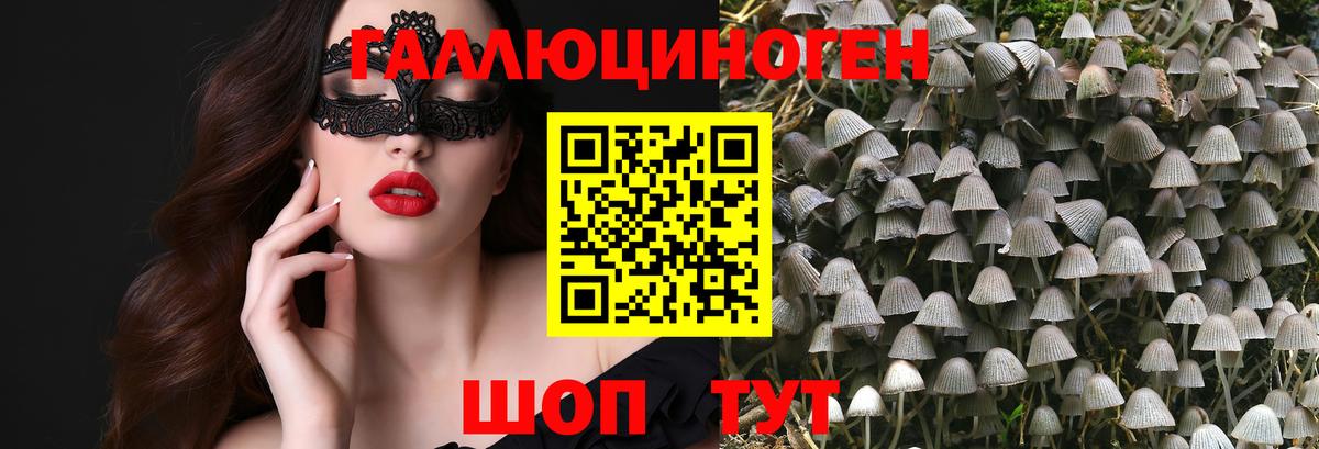 Кунгур  цена наркотик  Вход с VPN  Псилоцибиновые грибы Psilocybe 
